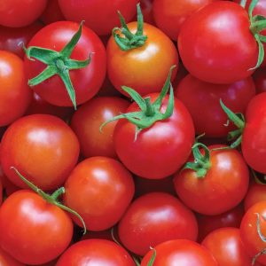 Red Cherry Tomato Heirloom