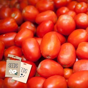 Roma Tomato Heirloom – Seeds